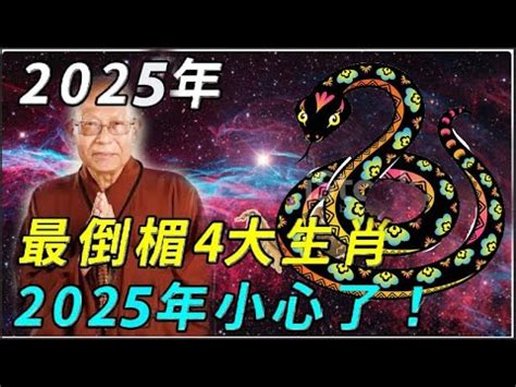 2025是什麼年天干地支|【2025年天干地支】2025年天干地支是什麼？揭曉你。